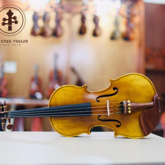 Cadu Violin CD-03i