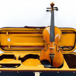 Cadu Violin CD-05i