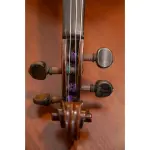 Thomastik Dominant Violin String Set