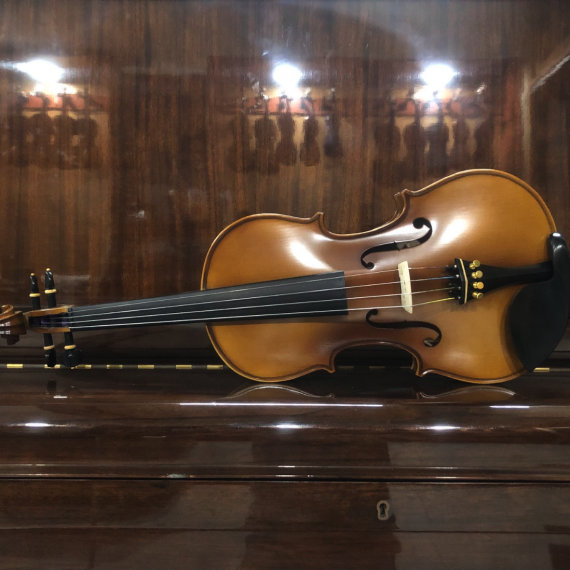 Cadu Violin CD-01i